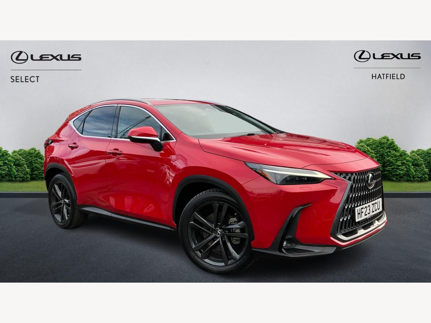 Used Lexus NX 2023 for sale - 76361524: Photo 1