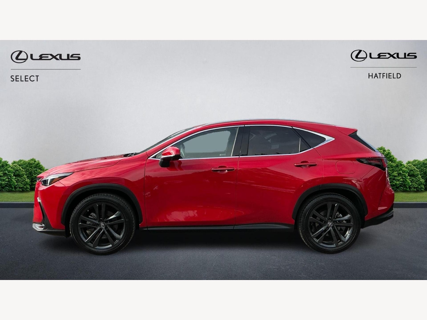 Used Lexus NX 2023 for sale - 76361524: Photo 3