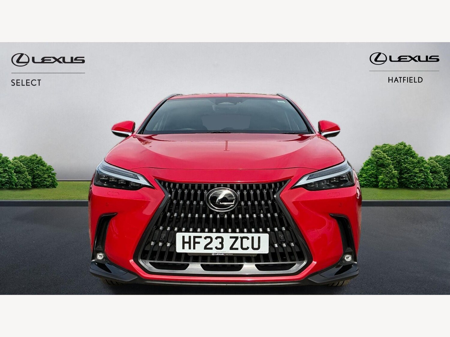 Used Lexus NX 2023 for sale - 76361524: Photo 6