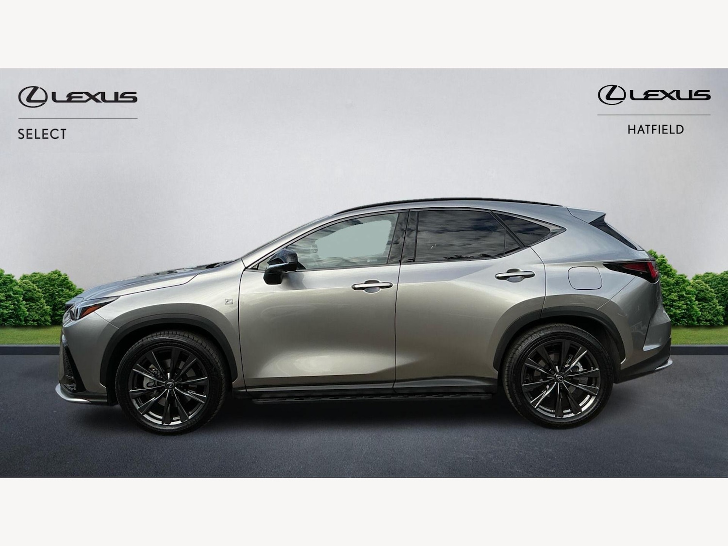 Used Lexus NX 2025 for sale - 77073843: Photo 3