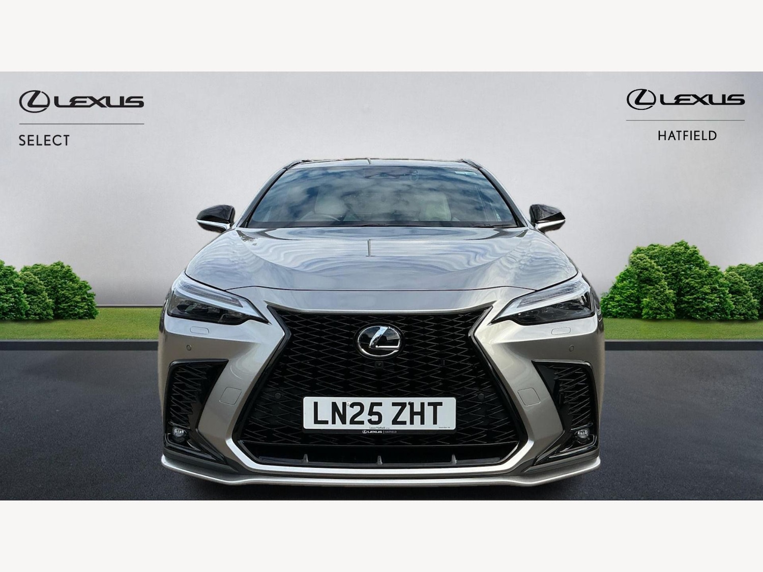 Used Lexus NX 2025 for sale - 77073843: Photo 6