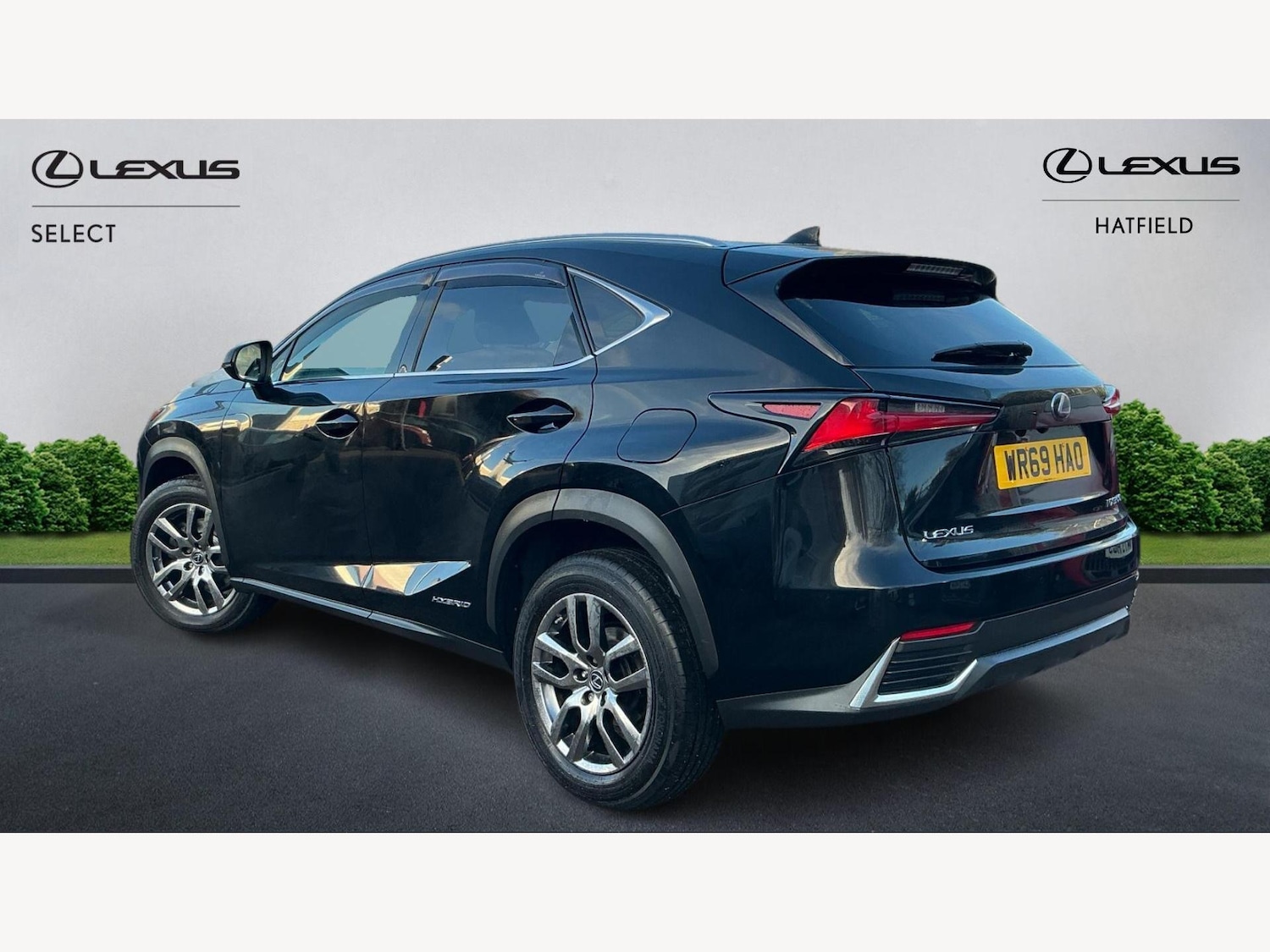 Used Lexus NX 2019 for sale - 76825071: Photo 2