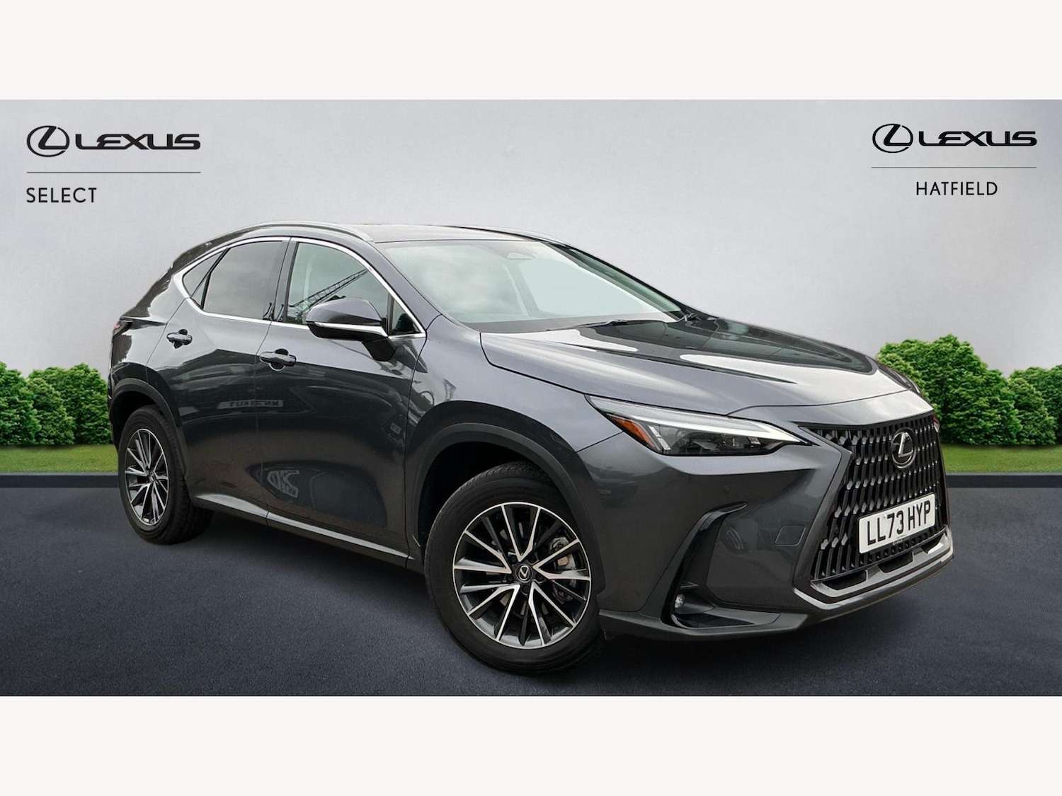 Used Lexus NX 2023 for sale - 76137919: Photo 1