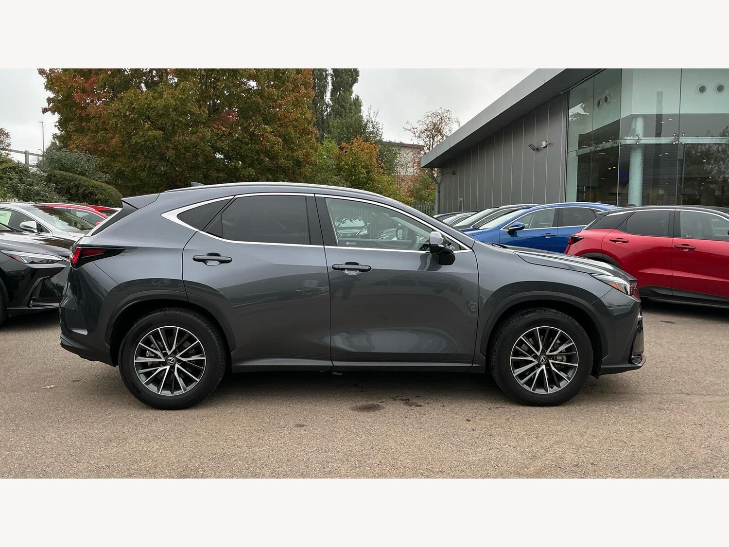 Used Lexus NX 2023 for sale - 76137919: Photo 18