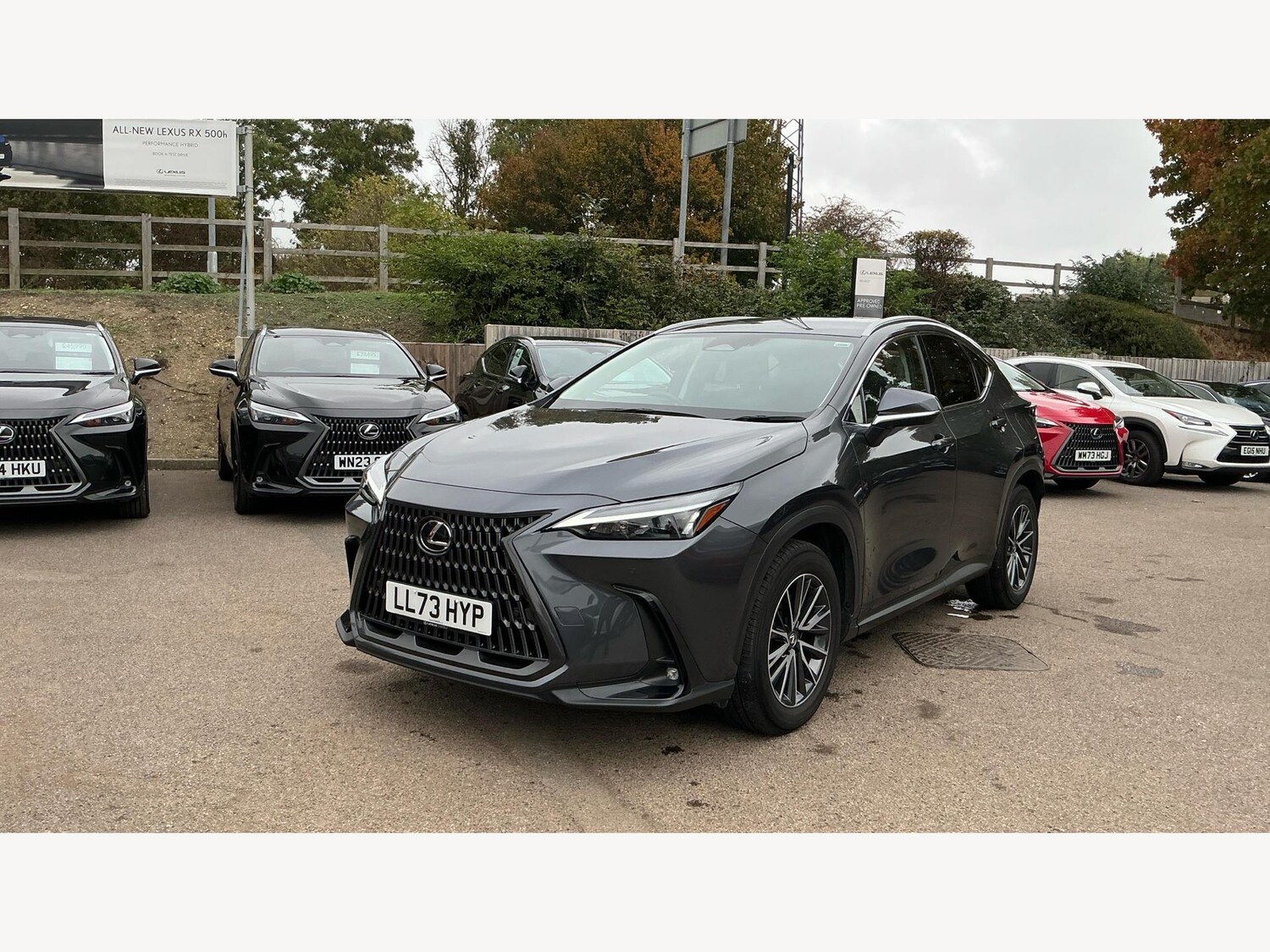 Used Lexus NX 2023 for sale - 76137919: Photo 19