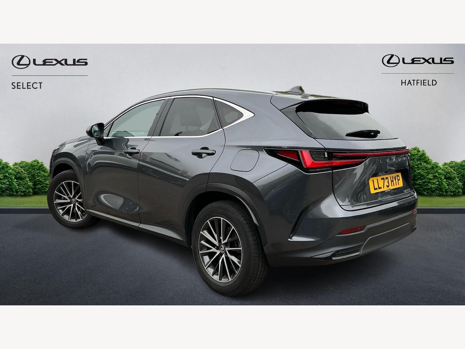 Used Lexus NX 2023 for sale - 76137919: Photo 2