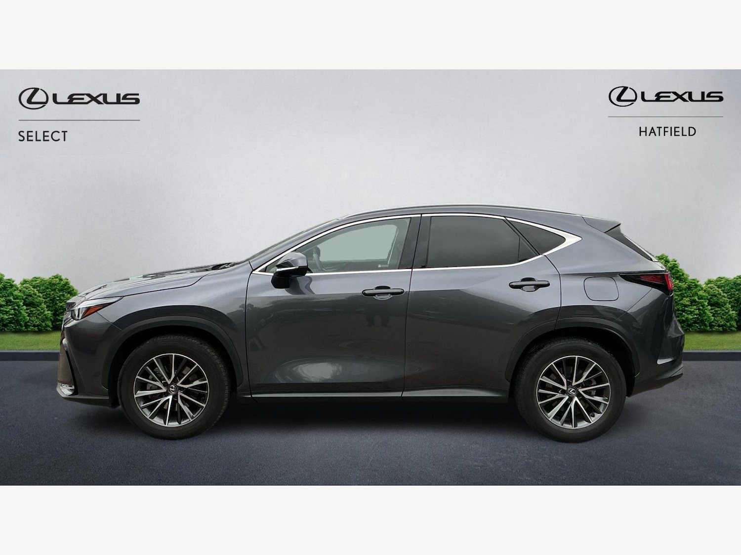 Used Lexus NX 2023 for sale - 76137919: Photo 3