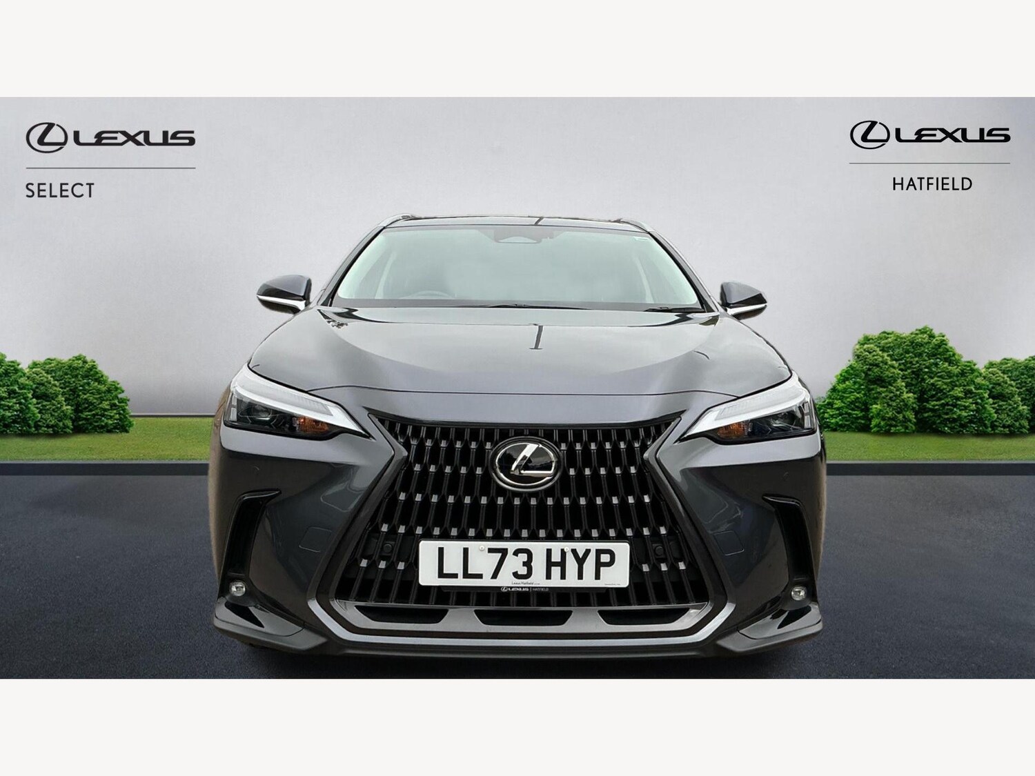Used Lexus NX 2023 for sale - 76137919: Photo 6