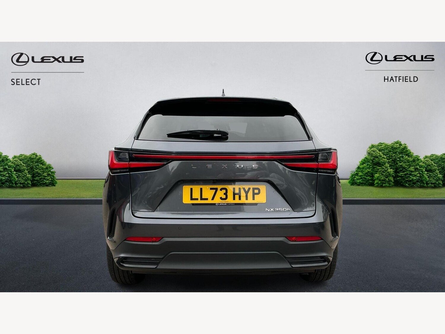 Used Lexus NX 2023 for sale - 76137919: Photo 7