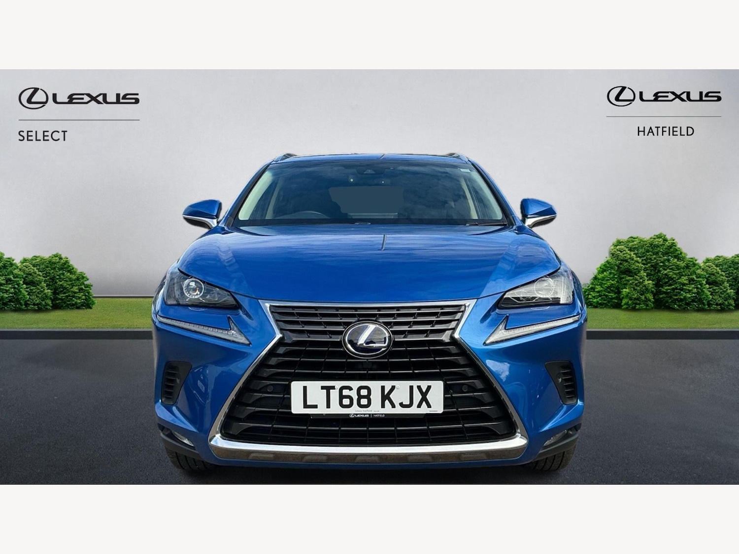 Used Lexus NX 2018 for sale - 75927704: Photo 6