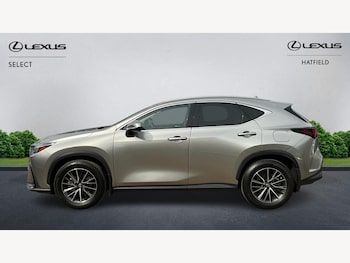 Used Lexus NX 2023 for sale - 75539435: Photo