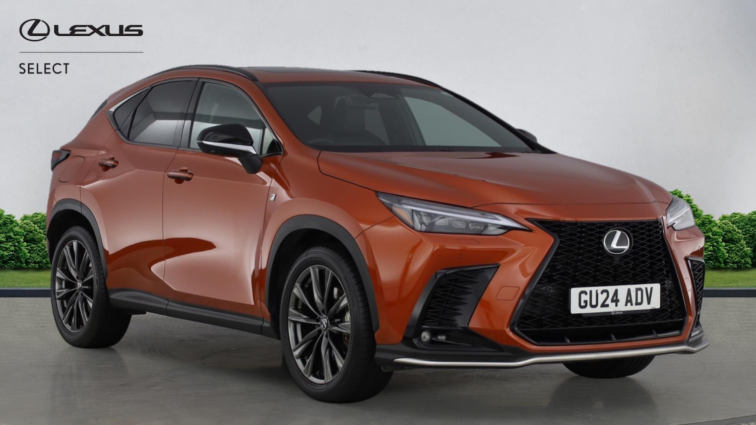 Used Lexus NX for sale - 77351355: Photo 1