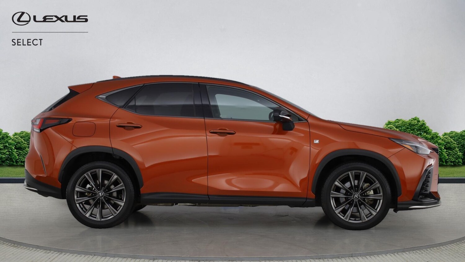 Used Lexus NX for sale - 77351355: Photo 16