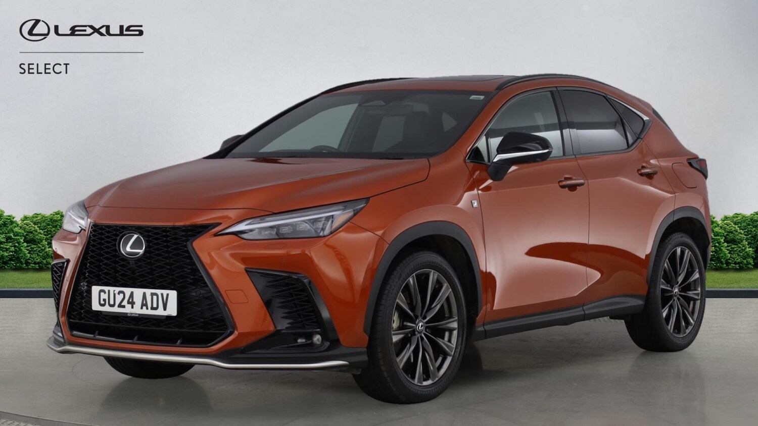 Used Lexus NX for sale - 77351355: Photo 17