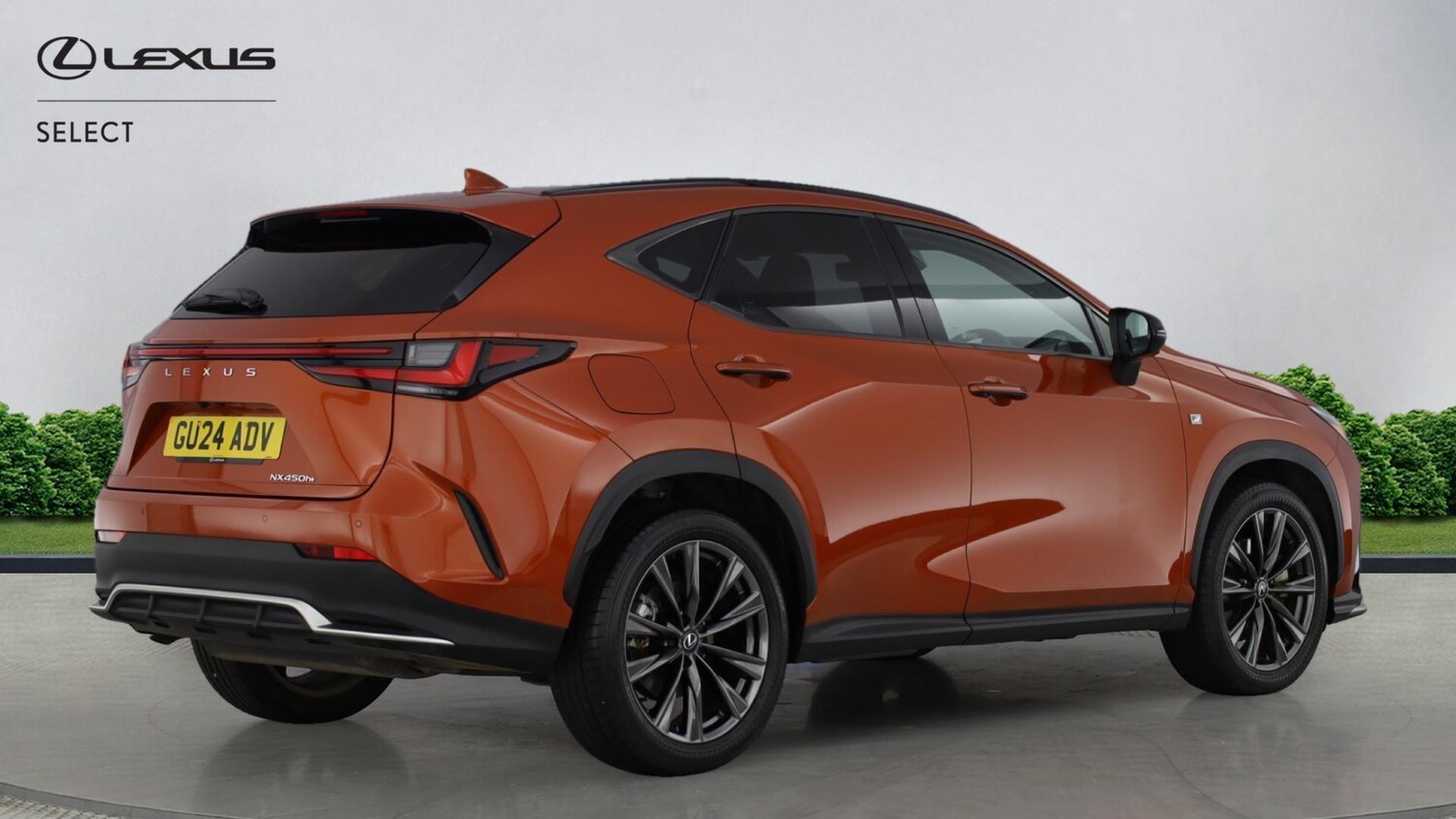 Used Lexus NX for sale - 77351355: Photo 18