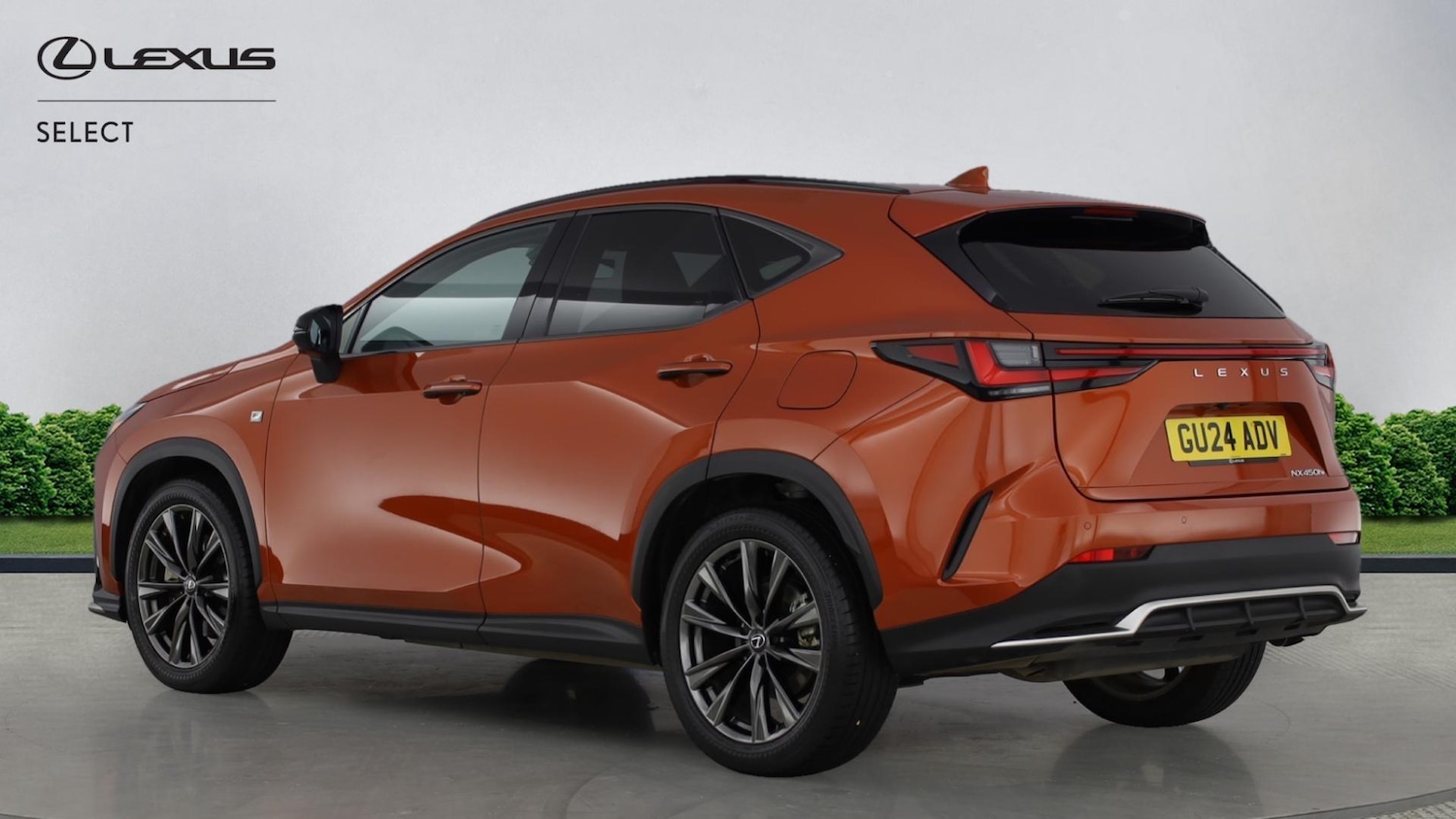 Used Lexus NX for sale - 77351355: Photo 2
