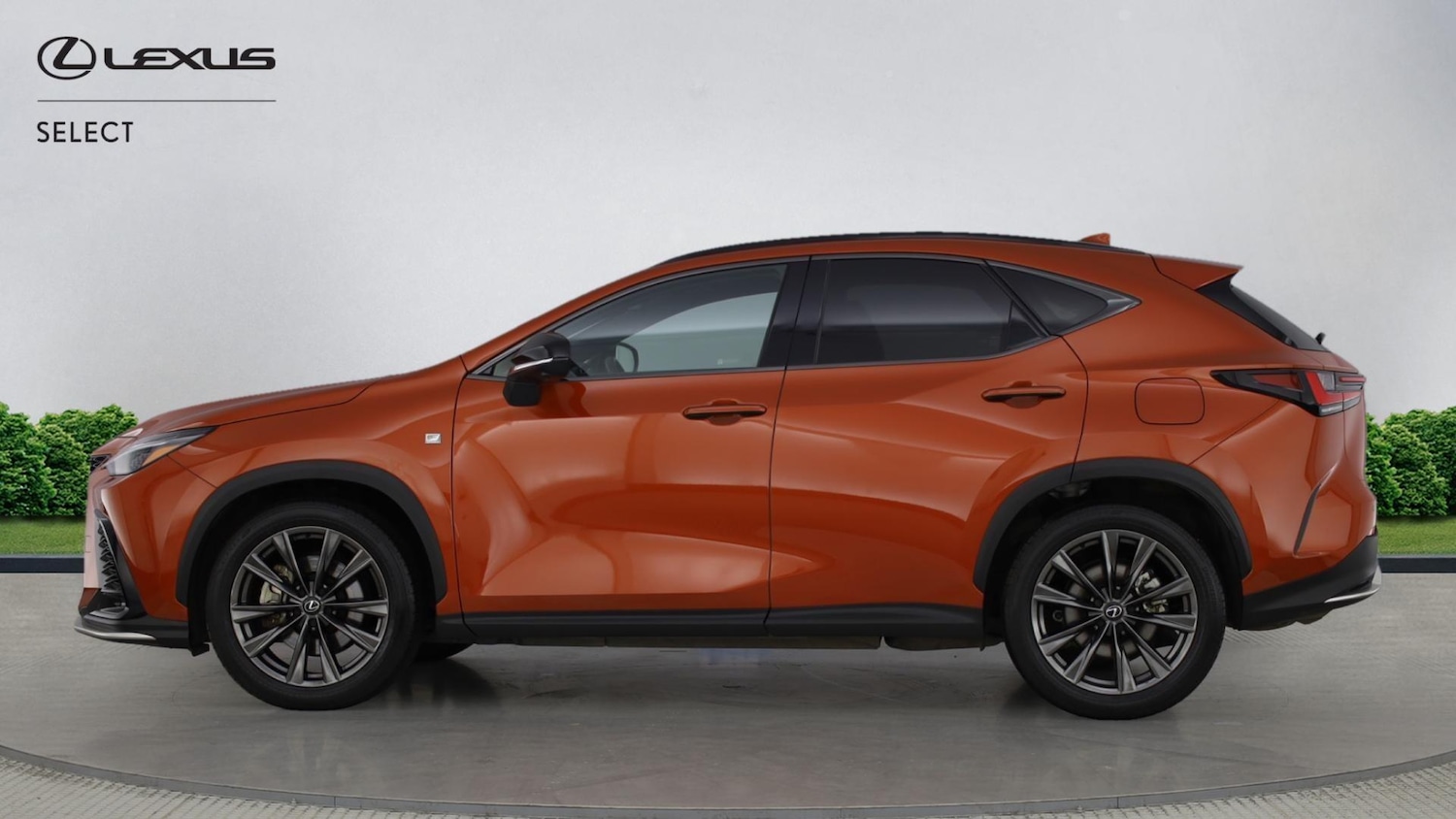 Used Lexus NX for sale - 77351355: Photo 3