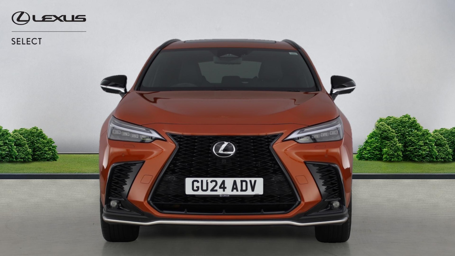 Used Lexus NX for sale - 77351355: Photo 4
