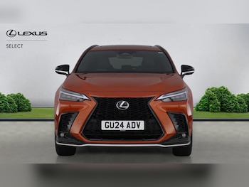 Used Lexus NX 2024 for sale - 77351355: Photo