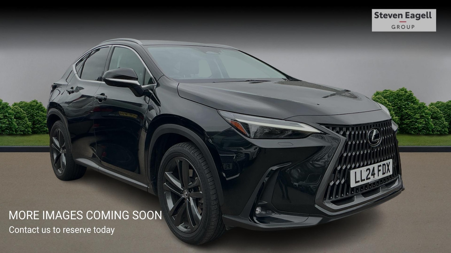 Used Lexus NX 2024 for sale - 78058416: Photo 1