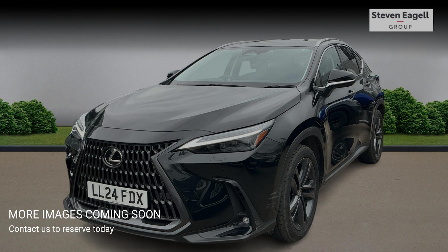 Used Lexus NX 2024 for sale - 78058416: Photo 3