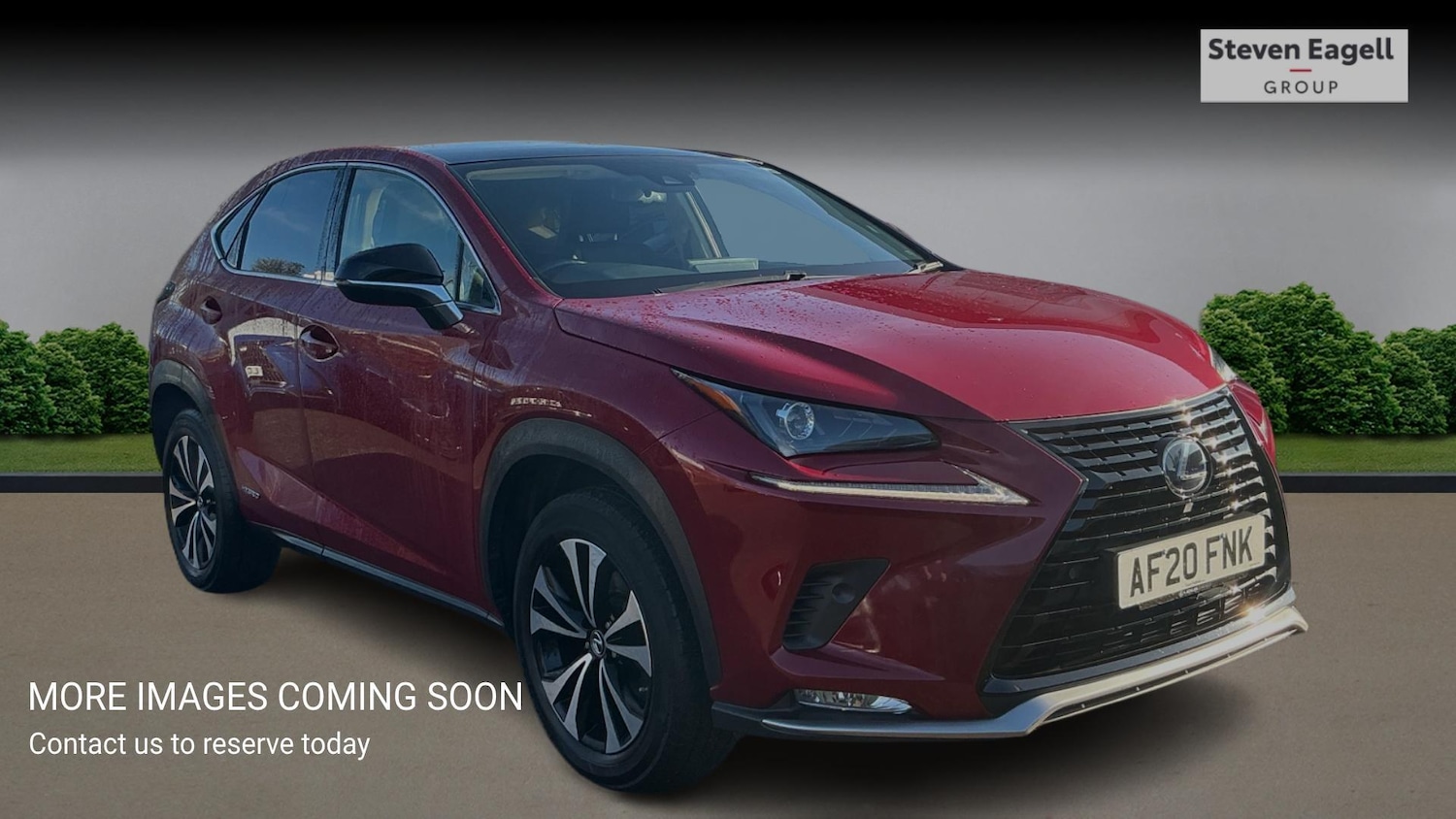 Used Lexus NX 2020 for sale - 77351493: Photo 1