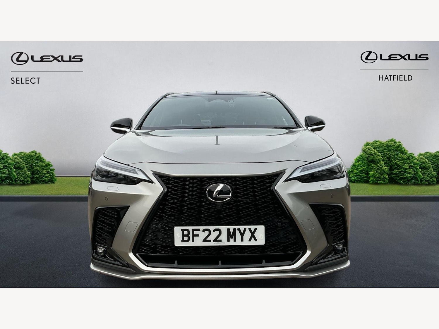 Used Lexus NX for sale - 77573839: Photo 6