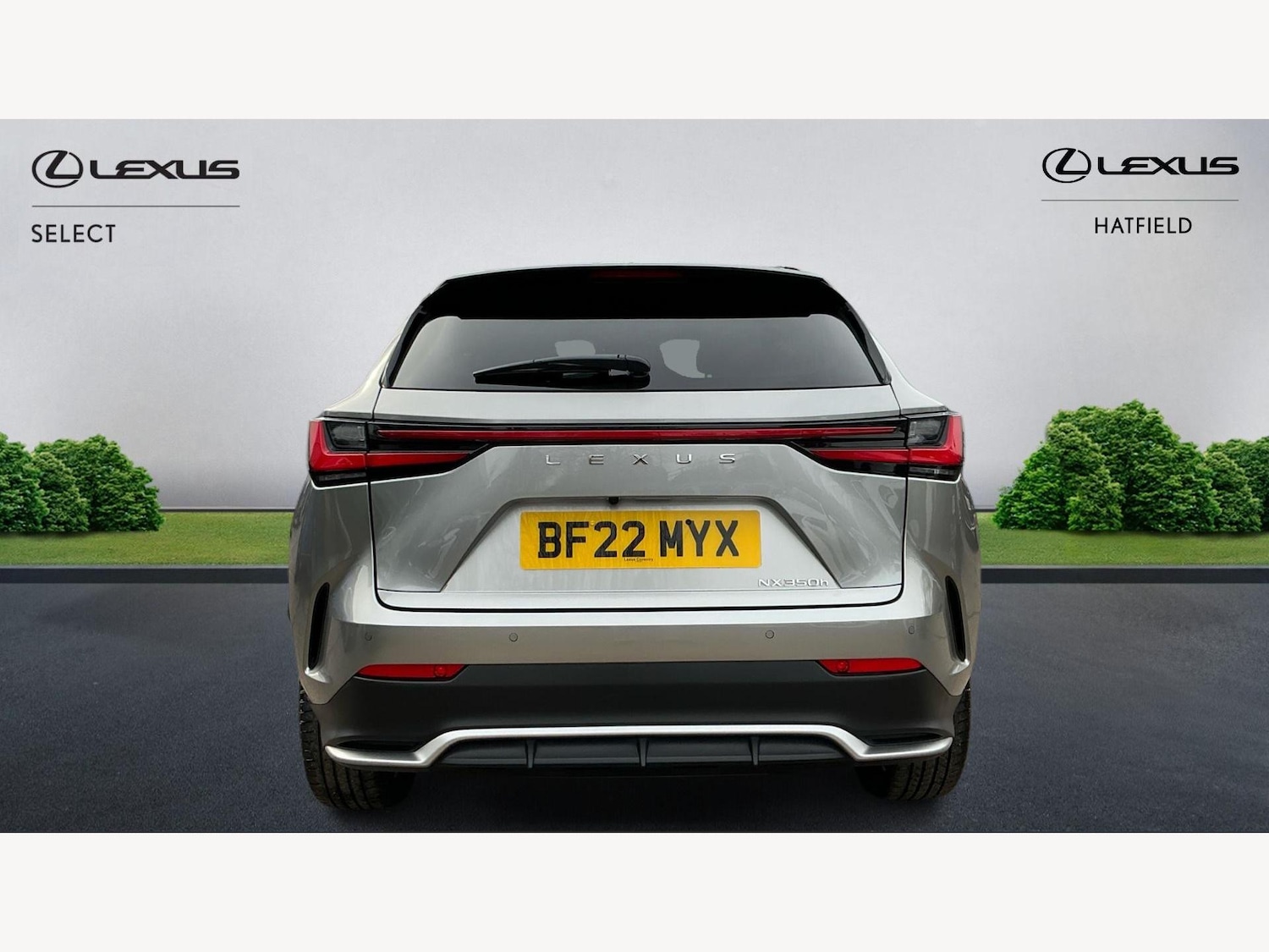 Used Lexus NX for sale - 77573839: Photo 7