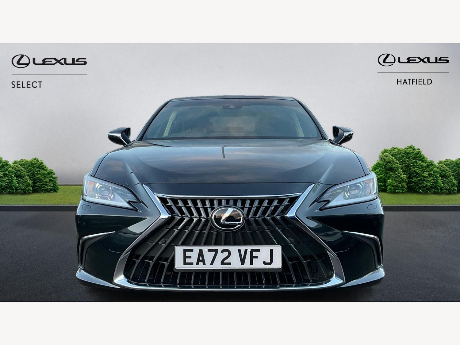 Used Lexus ES 2023 for sale - 76780591: Photo 6