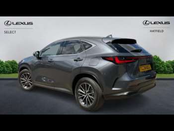 Used Lexus NX 2024 for sale - 74700243: Photo
