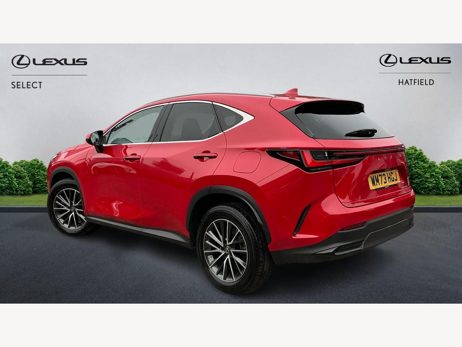 Used Lexus NX 2023 for sale - 78071910: Photo 2