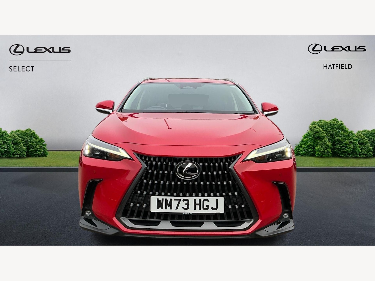 Used Lexus NX 2023 for sale - 78071910: Photo 6