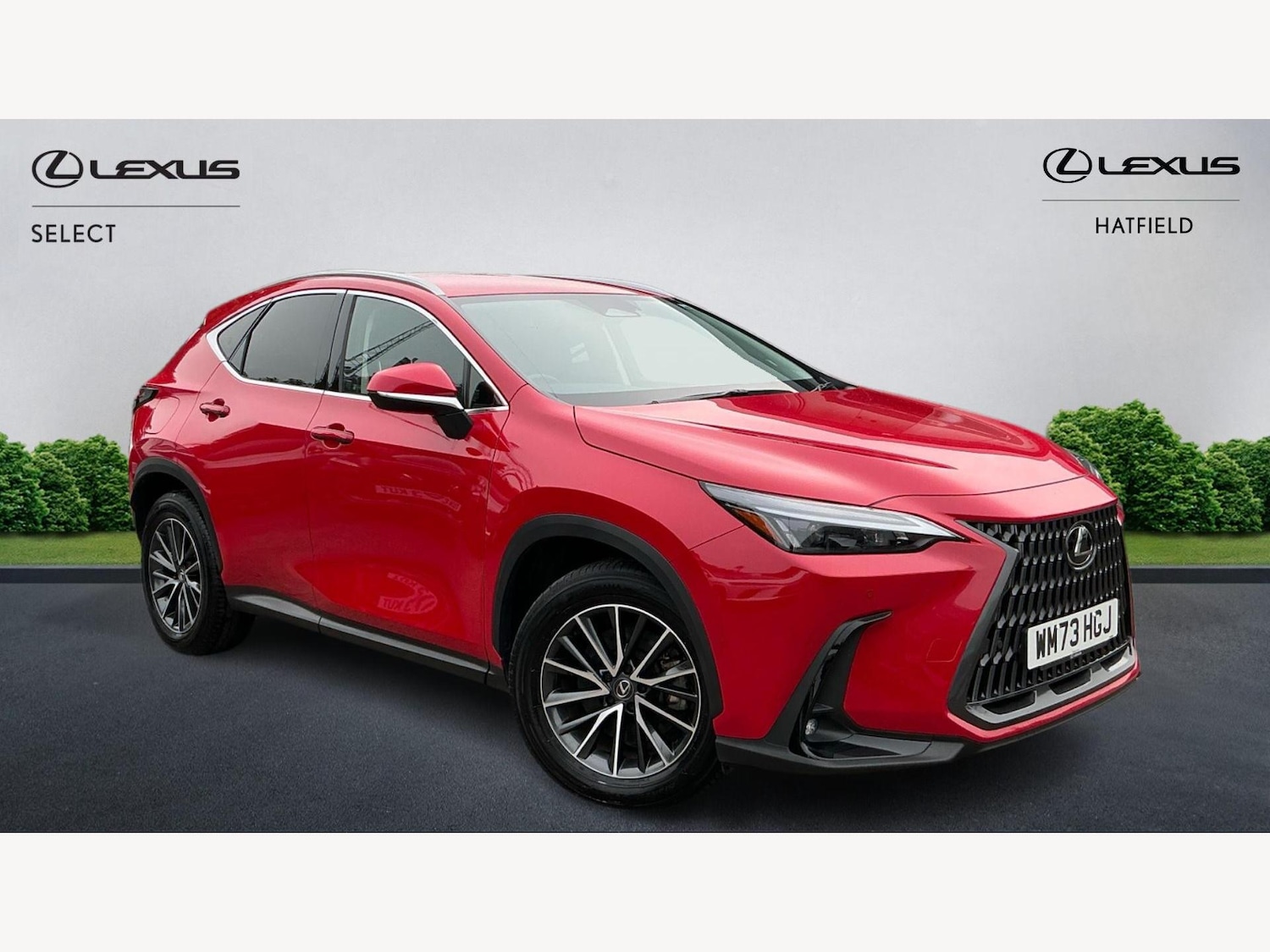 Used Lexus NX 2023 for sale - 76122086: Photo 1
