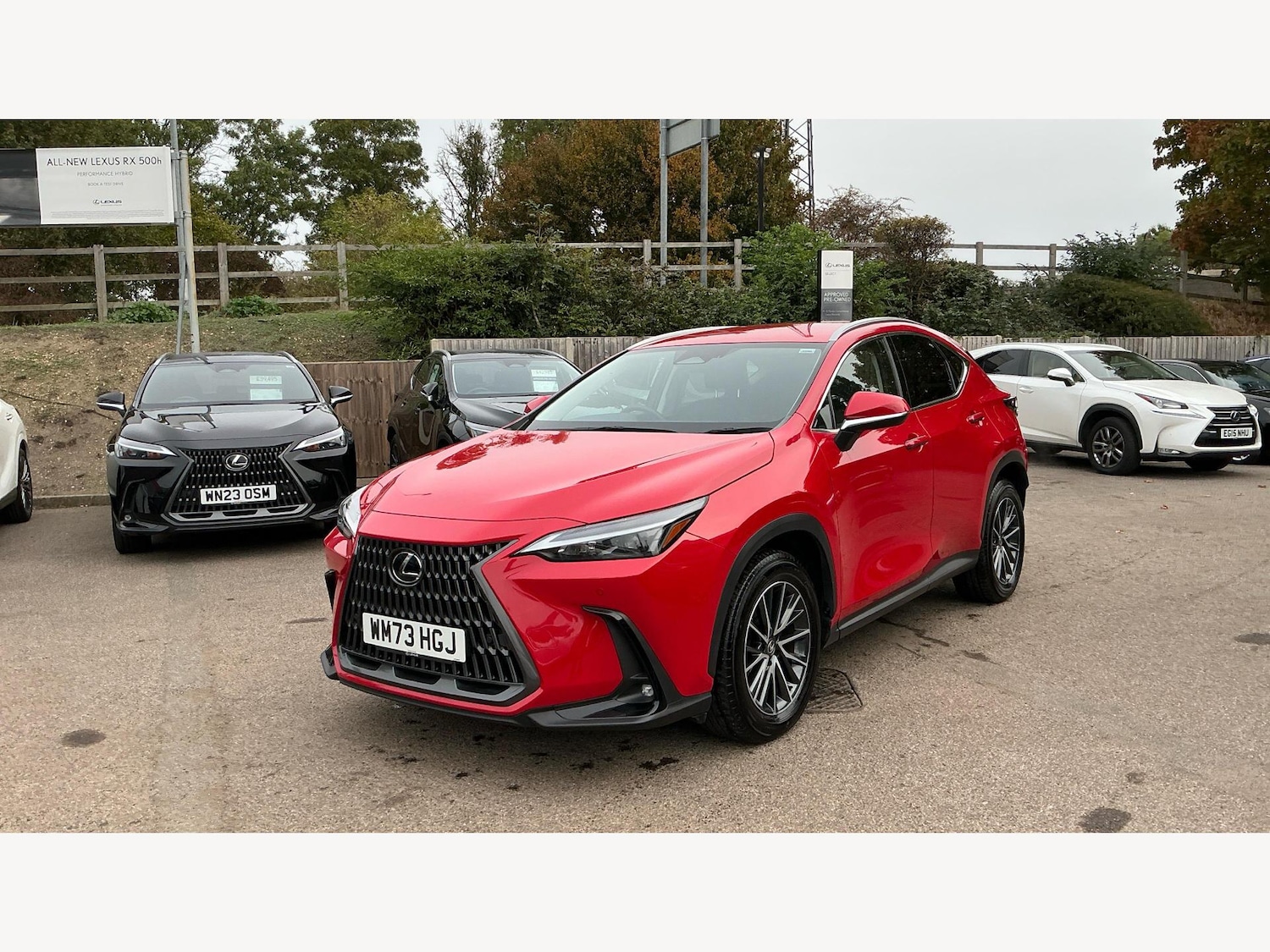 Used Lexus NX 2023 for sale - 76122086: Photo 19