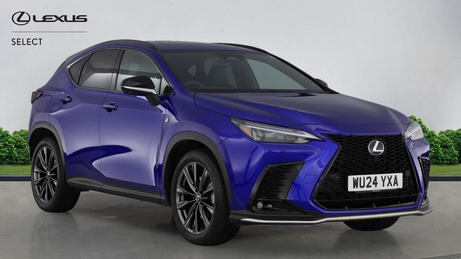 Used Lexus NX 2024 for sale - 77351824: Photo 1