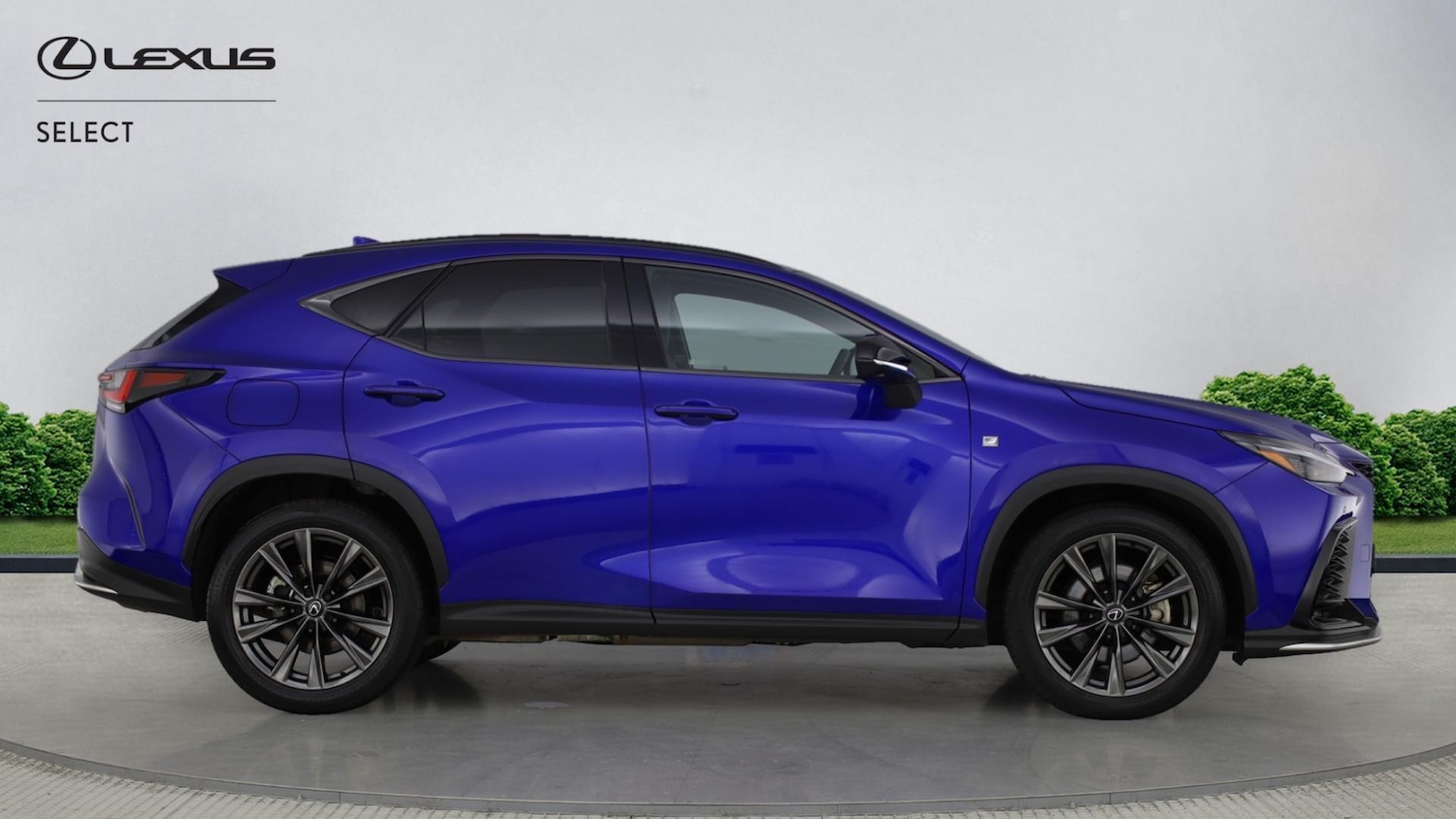 Used Lexus NX 2024 for sale - 77351824: Photo 16