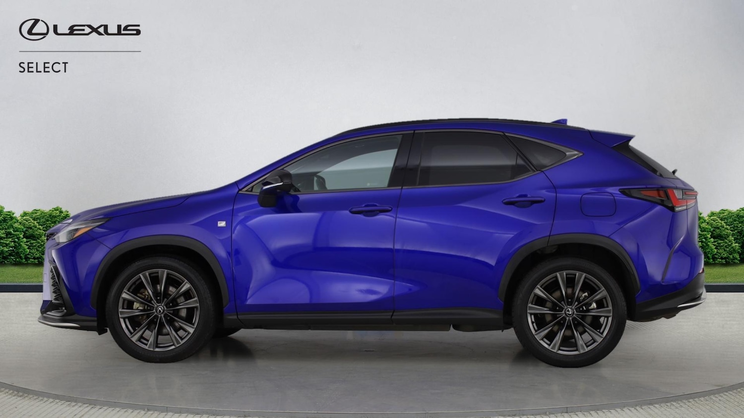 Used Lexus NX 2024 for sale - 77351824: Photo 3
