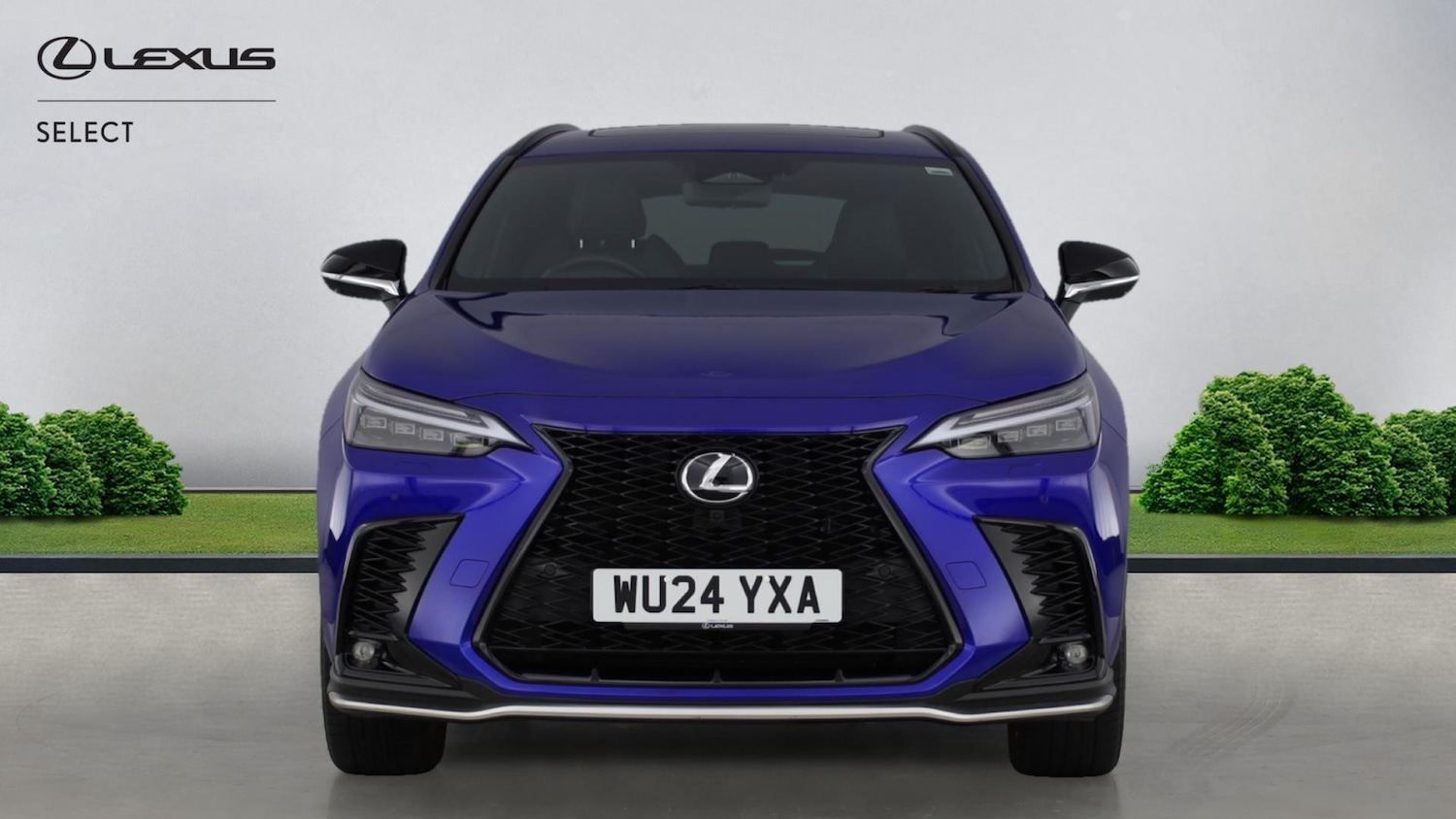 Used Lexus NX 2024 for sale - 77351824: Photo 4