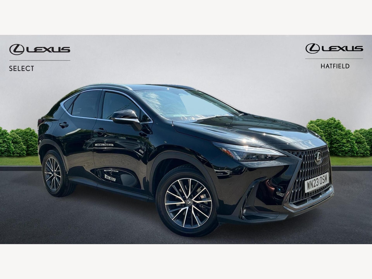 Used Lexus NX 2023 for sale - 76239673: Photo 1