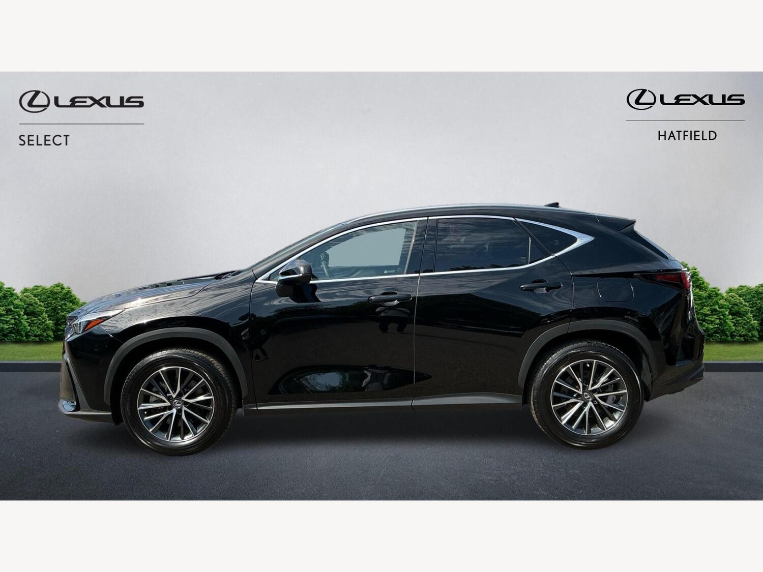 Used Lexus NX 2023 for sale - 76239673: Photo 3