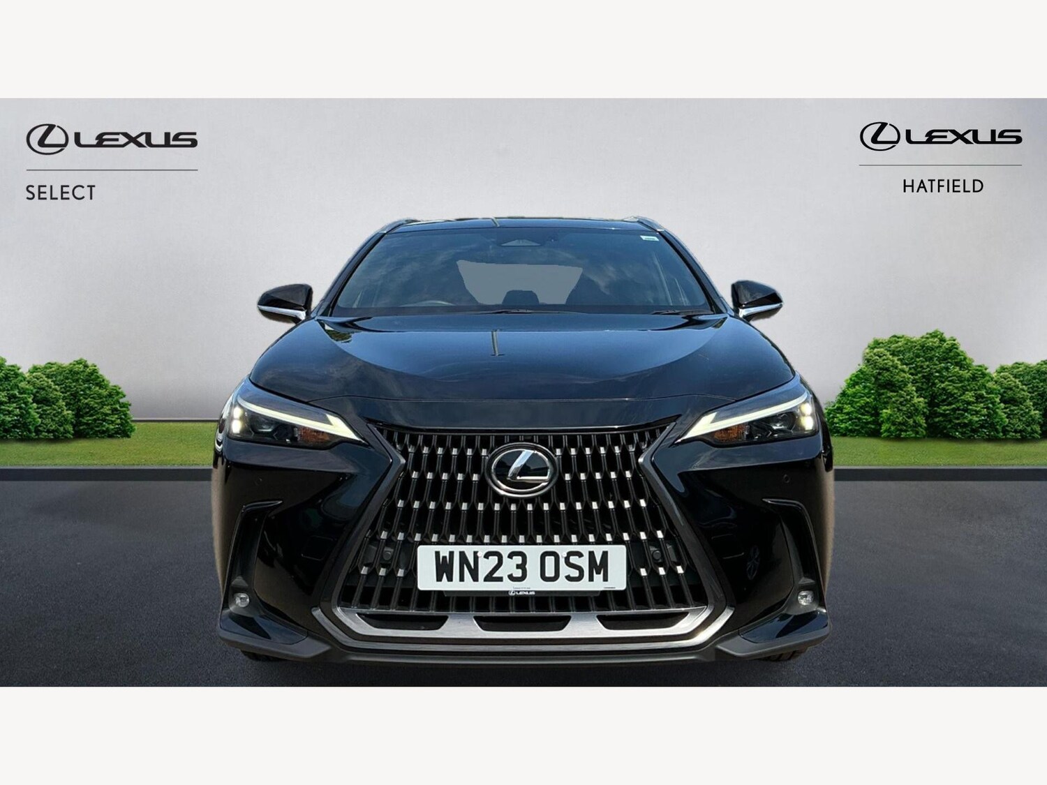 Used Lexus NX 2023 for sale - 76239673: Photo 6