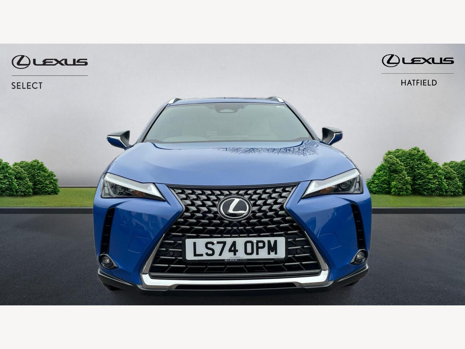 Used Lexus UX 2024 for sale - 77305631: Photo 6