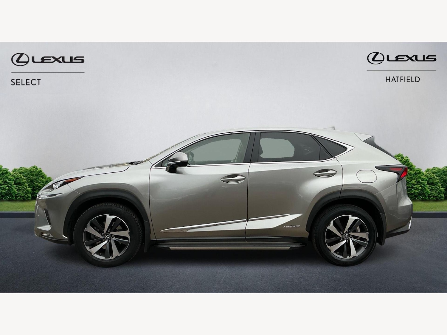 Used Lexus NX 2019 for sale - 77029243: Photo 3