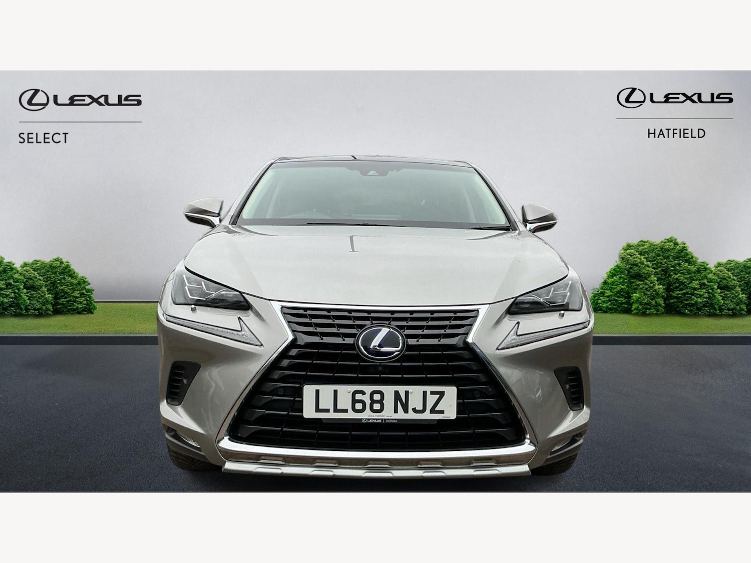 Used Lexus NX 2019 for sale - 77029243: Photo 6