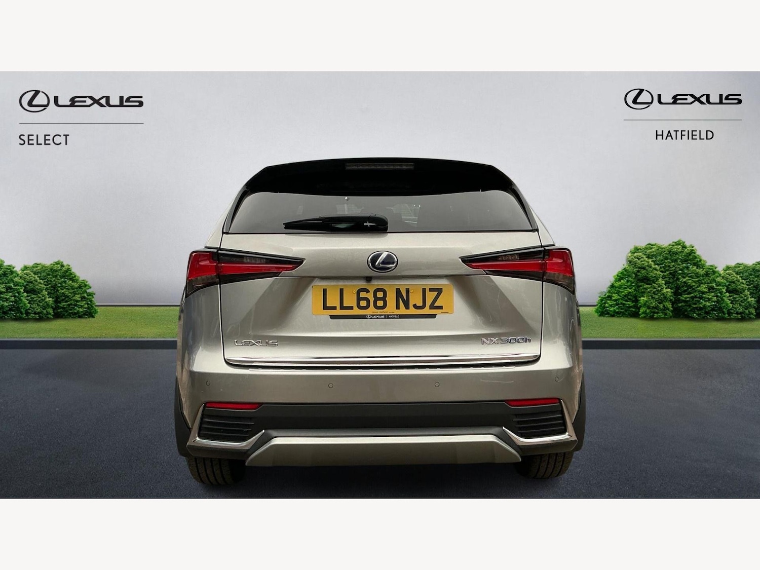 Used Lexus NX 2019 for sale - 77029243: Photo 7