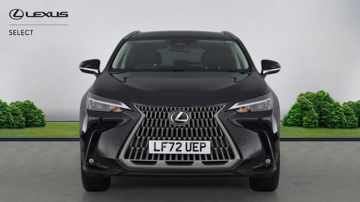 Used Lexus NX 2022 for sale - 77163149: Photo 2
