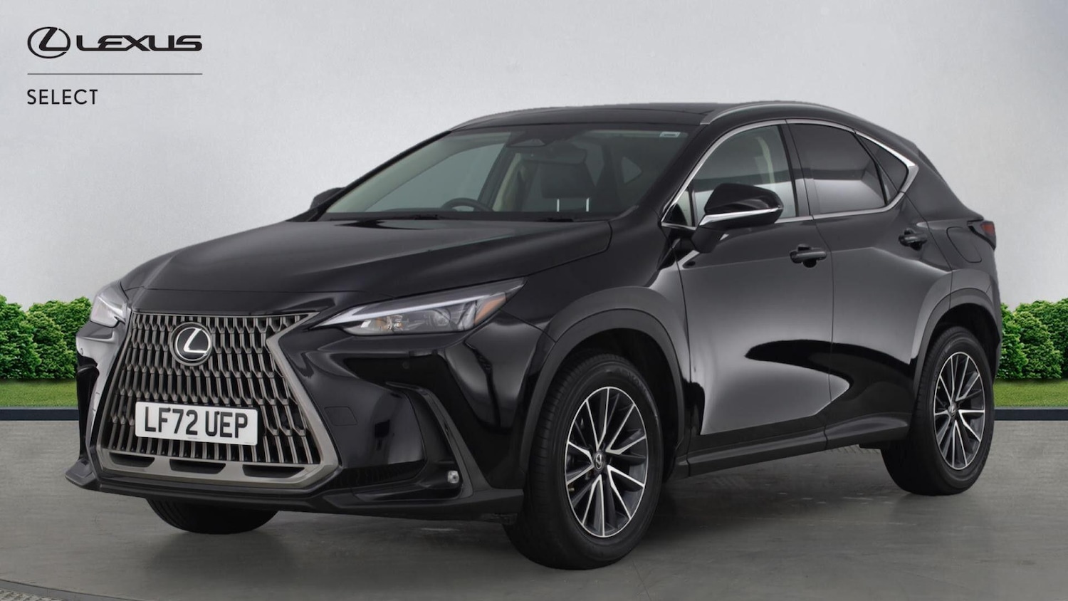 Used Lexus NX 2022 for sale - 77163149: Photo 3