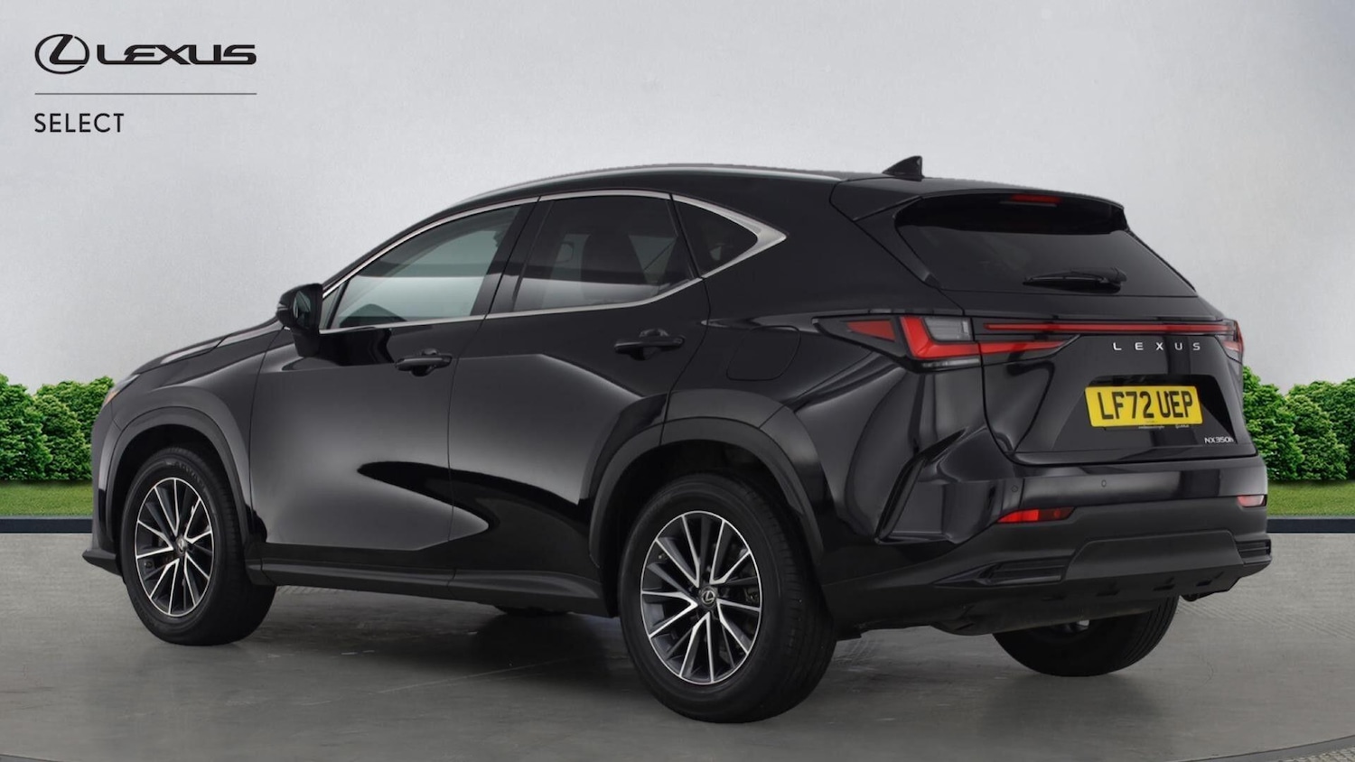 Used Lexus NX 2022 for sale - 77163149: Photo 5