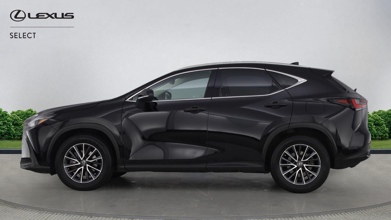 Used Lexus NX 2022 for sale - 77163149: Photo 6