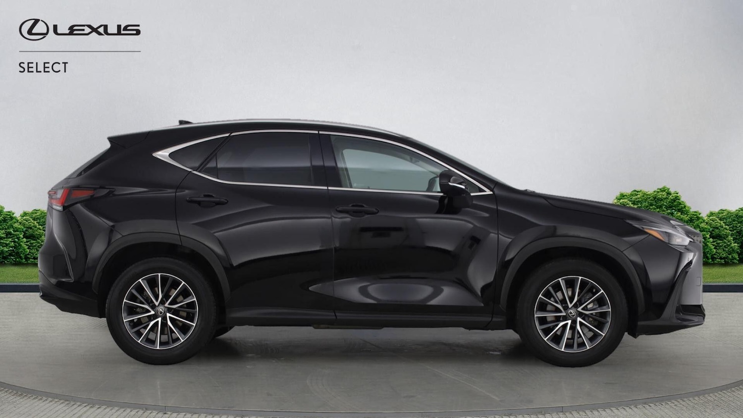 Used Lexus NX 2022 for sale - 77163149: Photo 8